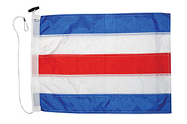 12 x 18-Inch Taylor Made Products 93280 Code Y Flag