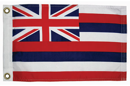 Hawaii State Flag