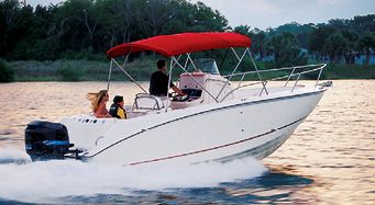 TAYLOR MADE PRODUCTS Trailerite Semi-Custom Boat Cover for Basic Fishing Boat Without Outboard Motor Motor Hood not Included 